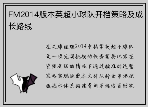 FM2014版本英超小球队开档策略及成长路线