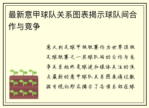 最新意甲球队关系图表揭示球队间合作与竞争